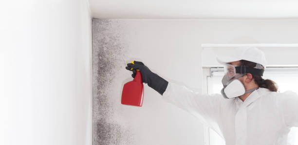 Water Damage Restoration in Columbus, MS