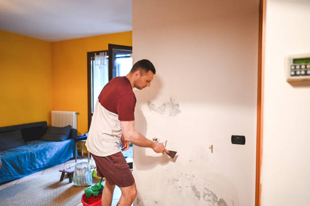 Best Emergency Mold Removal  in Columbus, MS