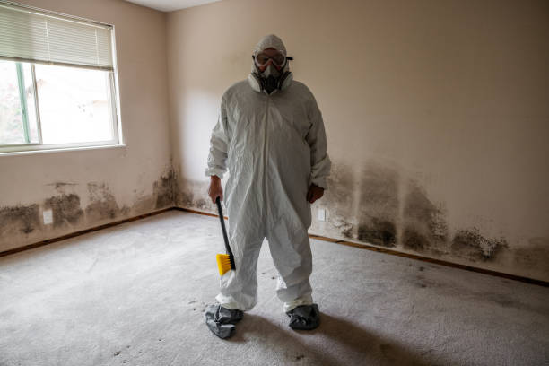 Best Crawl Space Mold Removal  in Columbus, MS